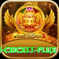 afghanistan cricket - Slots Prime
