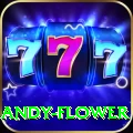 andy flower - Legend Earning App