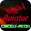 cricket pitch Max Jackpot