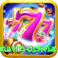 david gower Game Pro v1.7.0