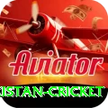 india pakistan cricket King v1.6.9