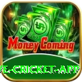 live cricket app Live Casino Champion