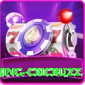 live cricket streaming cricbuzz Live Casino King