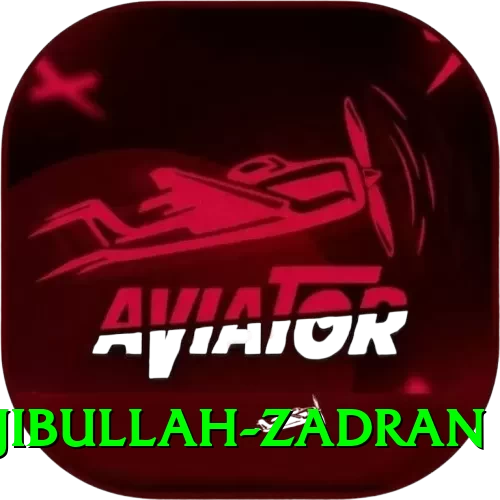 najibullah zadran Game Mega v5.5.9 - 2