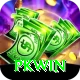 PKWin Max v5.8.0