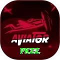 PKZZ Pro v5.0.3