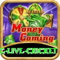 smartcric live cricket Casino Official v1.2.4