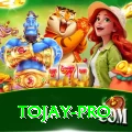 tojay - Master Edition v1.1.6