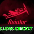 willow cricket App Ultimate v2.1.8